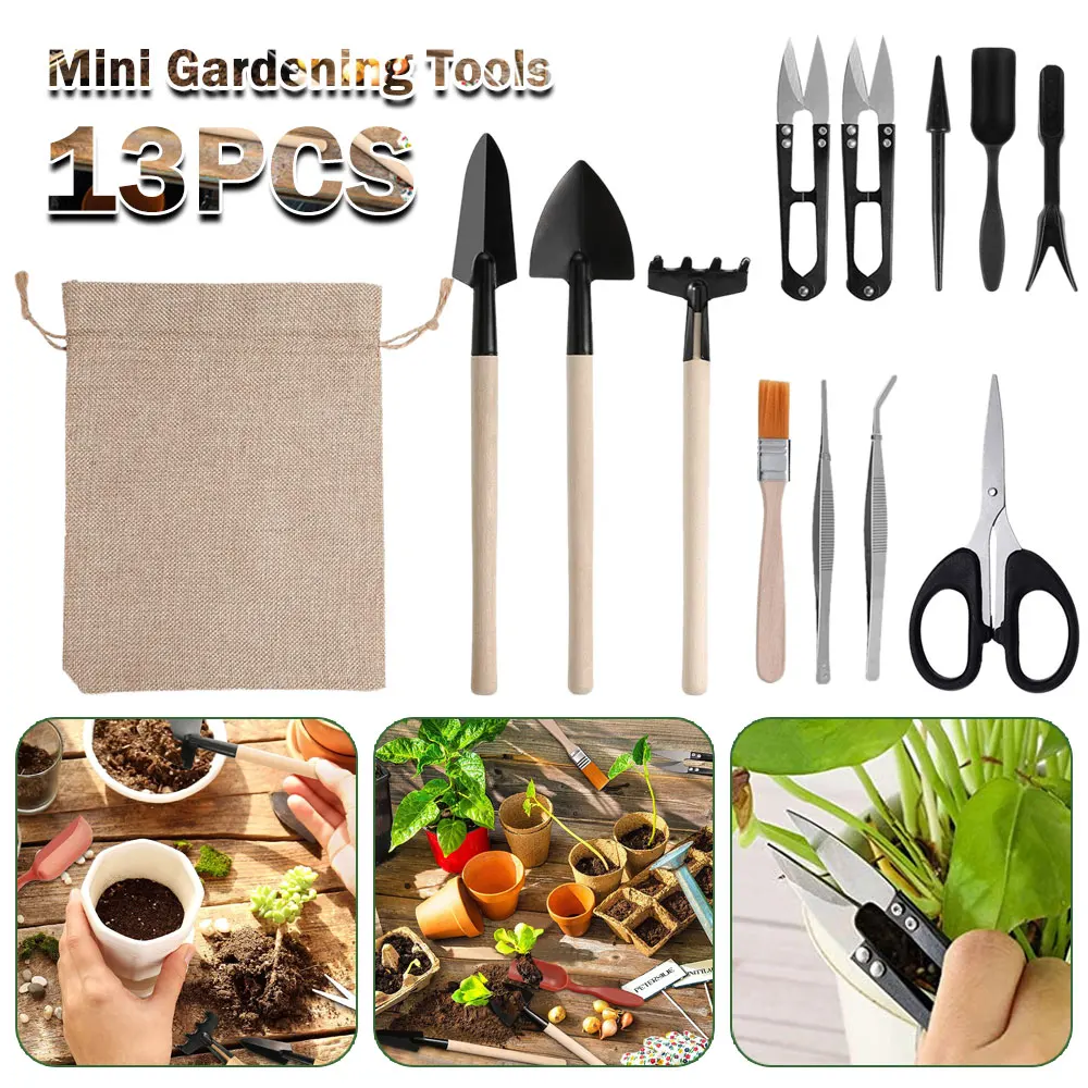 Gardening Tools Sale - Juego de Herramientas para plantas suculentas