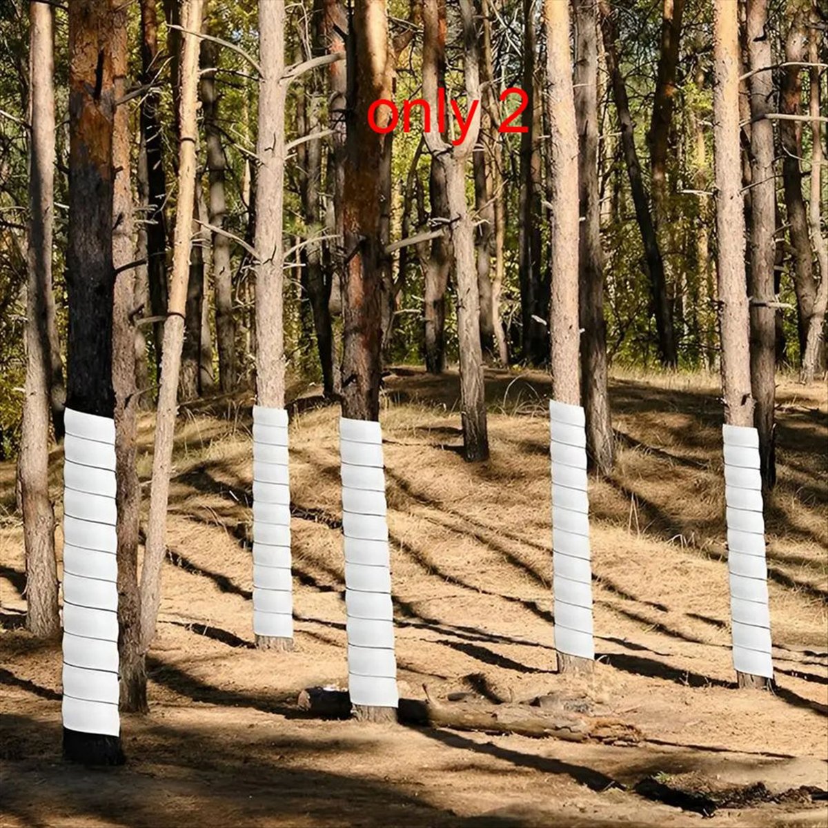 Protector de tronco de árbol A - Gardening Tools B&M reseña y precio