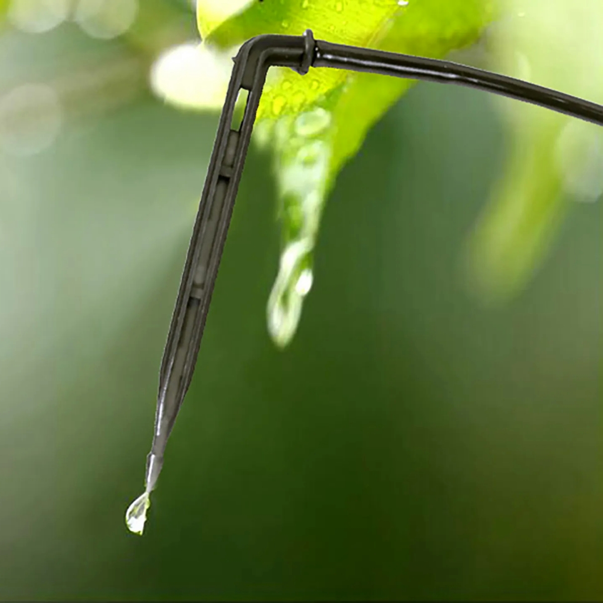 Arrow Dripper Joint irrigación - Gardening Tools For Beginners reseña y precio