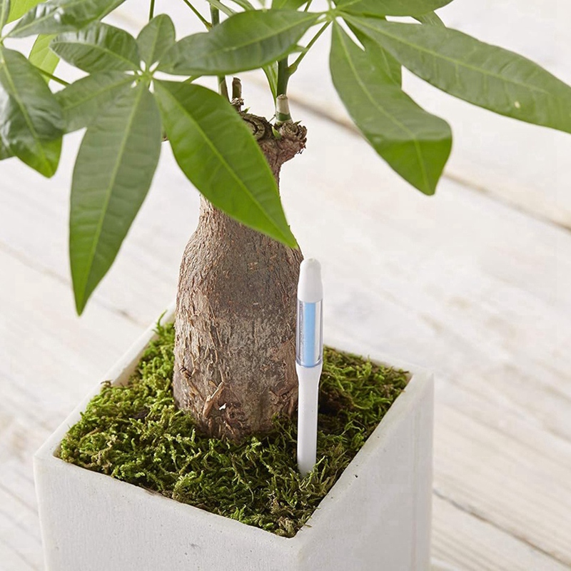 Aquameter, 5 piezas, Sensor de - Moisture Meter Plant reseña y precio