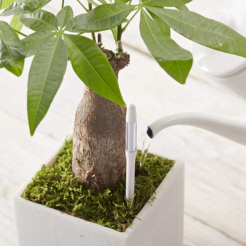 Aquameter, 5 piezas, Sensor de - Moisture Meter Plant reseña y precio