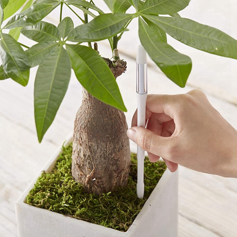 Aquameter, 5 piezas, Sensor de - Moisture Meter Plant reseña y precio