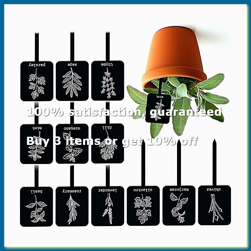 24 Etiquetas de Acrílico para  - Gardening Tools With Names reseña y precio
