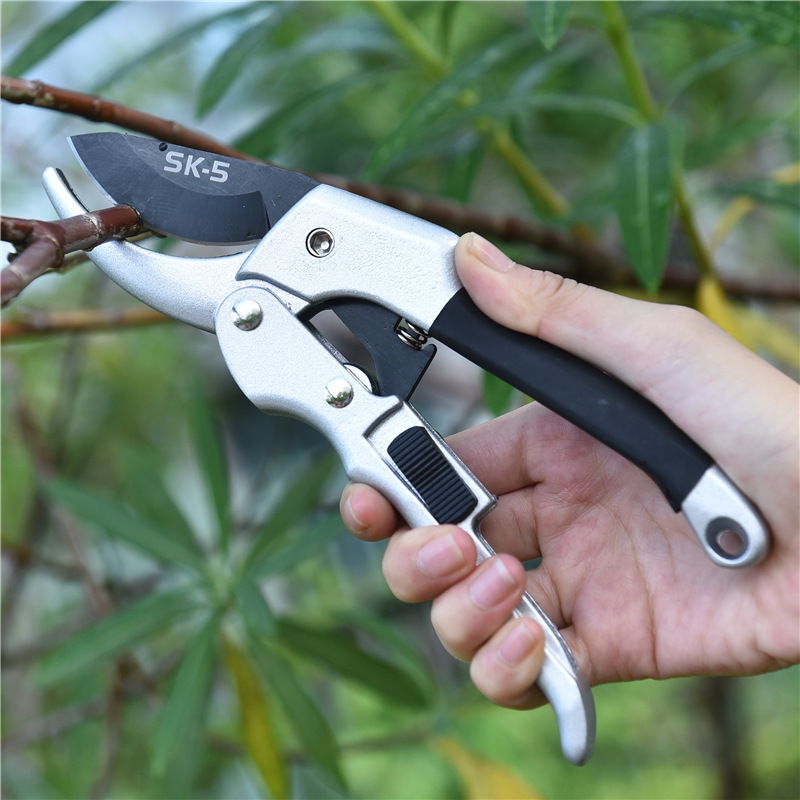 Nuevo 20cm trinquete planta re - Gardening Tools For Beginners reseña y precio