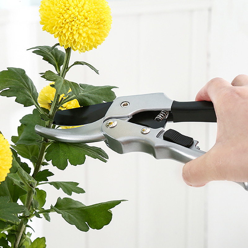 Nuevo 20cm trinquete planta re - Gardening Tools For Beginners reseña y precio