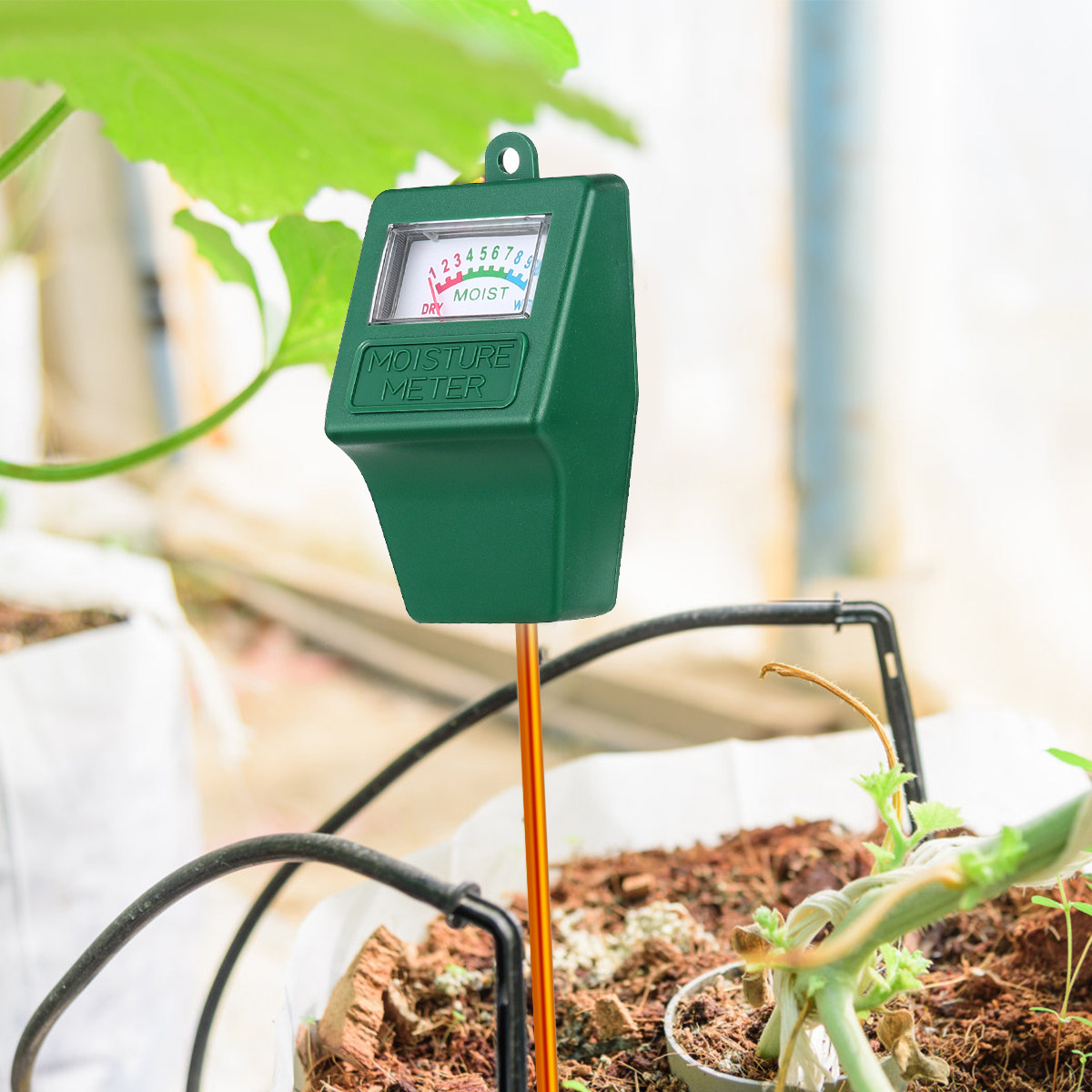 Medidor de humedad del suelo,  - Moisture Meter Plant reseña y precio