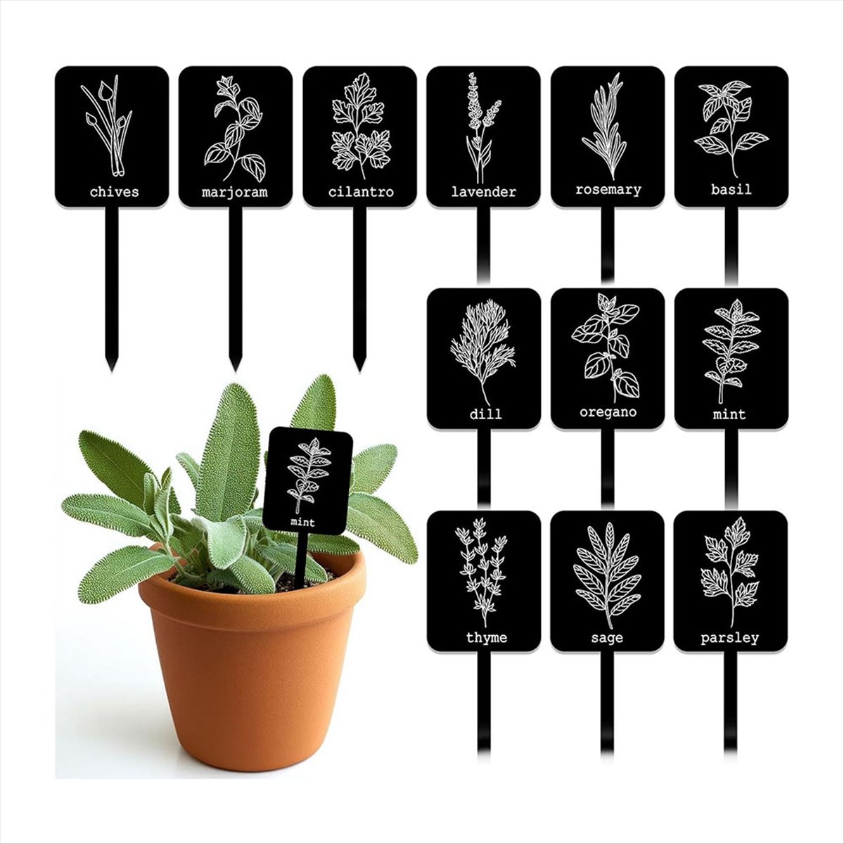 AA14 24 Etiquetas Acrílicas pa - Gardening Tools With Names reseña y precio